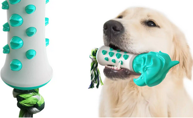 楚克奇寵物用品 多元產品線，滿足寵物全方位需求